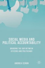 Social Media and Political Accountability