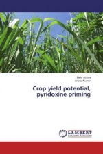 Crop yield potential, pyridoxine priming