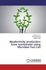 Bioelectricity production from wastewater using Microbial Fuel Cell