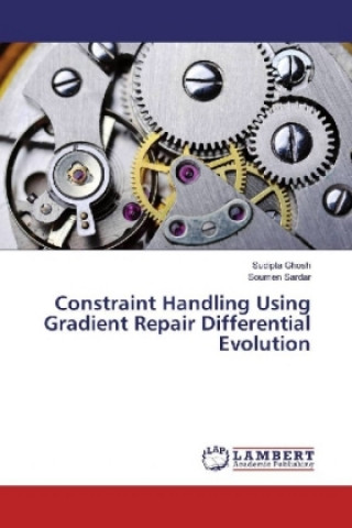 Constraint Handling Using Gradient Repair Differential Evolution