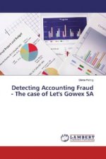 Detecting Accounting Fraud - The case of Let's Gowex SA