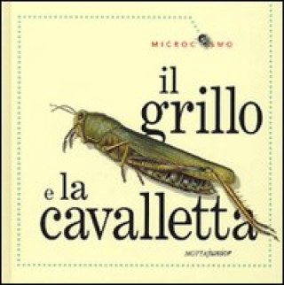 Il grillo e la cavalletta