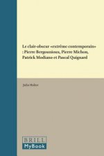 Le Clair-Obscur « Extr?me Contemporain »: Pierre Bergounioux, Pierre Michon, Patrick Modiano Et Pascal Quignard