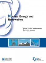NUCLEAR ENERGY & RENEWABLES