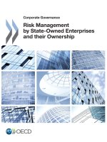 RISK MGMT BY STATE-OWNED ENTER
