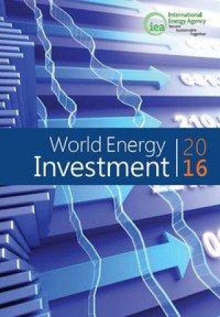 WORLD ENERGY INVESTMENT