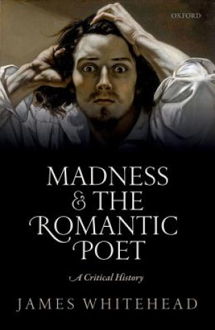 Madness and the Romantic Poet