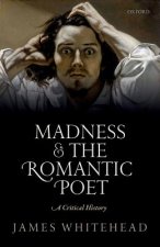 Madness and the Romantic Poet