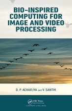 Bio-Inspired Computing for Image and Video Processing