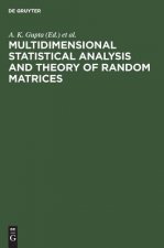 Multidimensional Statistical Analysis and Theory of Random Matrices