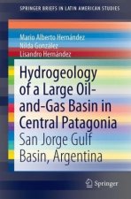 Hydrogeology of a Large Oil-and-Gas Basin in Central Patagonia