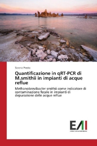 Quantificazione in qRT-PCR di M.smithii in impianti di acque reflue