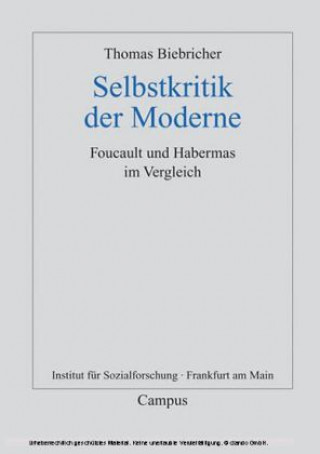 Selbstkritik der Moderne