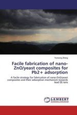 Facile fabrication of nano-ZnO/yeast composites for Pb2+ adsorption