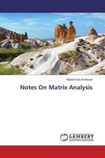 Notes On Matrix Analysis
