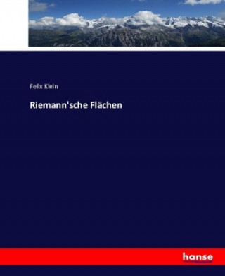 Riemann'sche Flachen