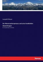 Menstruationsprozess und seine krankhaften Abweichungen