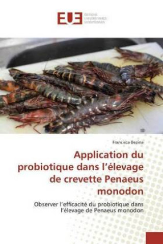 Application du probiotique dans l'élevage de crevette Penaeus monodon