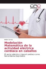 Modelación Matemática de la actividad eléctrica cardíaca en caballos