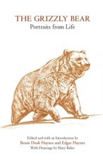 Grizzly Bear