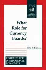 WHAT ROLE FOR CURRENCY BOARDS