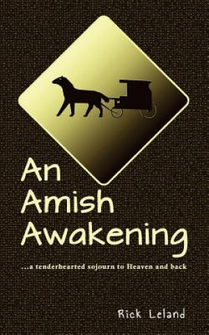 AMISH AWAKENING