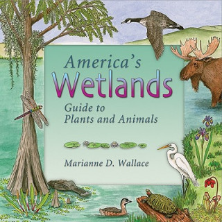 AMER WETLANDS
