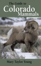 GT COLORADO MAMMALS
