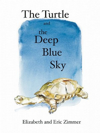 Turtle and the Deep Blue Sky