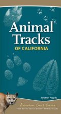 Animal Tracks of California