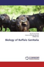 Biology of Buffalo Genitalia
