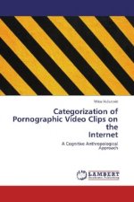 Categorization of Pornographic Video Clips on the Internet