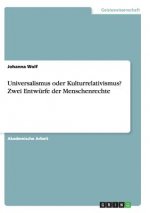 Universalismus oder Kulturrelativismus? Zwei Entwurfe der Menschenrechte