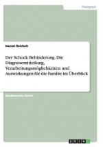 Der Schock Behinderung. Die Diagnosemitteilung, Verarbeitungsmöglichkeiten und Auswirkungen für die Familie im Überblick