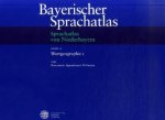 Sprachatlas von Niederbayern (SNiB). Bd.2