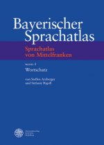 Sprachatlas von Mittelfranken (SMF). Bd.5