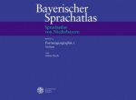 Sprachatlas von Niederbayern (SNiB). Bd.5