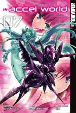 Accel World. Bd.7