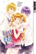 Last Exit Love. Bd.3