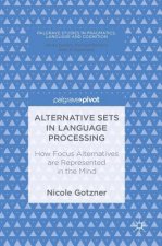 Alternative Sets in Language Processing
