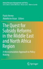 Quest for Subsidy Reforms in the Middle East and North Africa Region