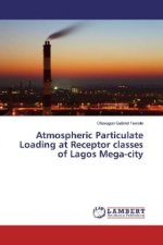 Atmospheric Particulate Loading at Receptor classes of Lagos Mega-city