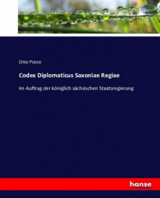 Codex Diplomaticus Saxoniae Regiae
