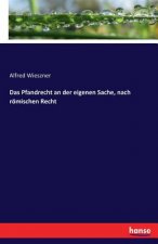 Pfandrecht an der eigenen Sache, nach roemischen Recht
