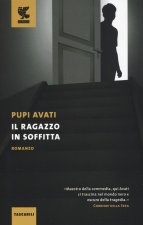 Il ragazzo in soffitta