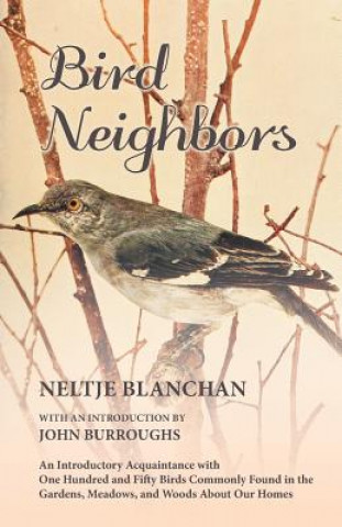 Bird Neighbors
