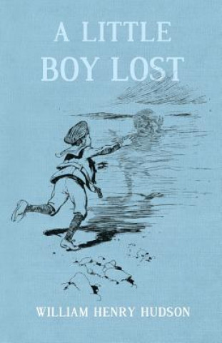 Little Boy Lost
