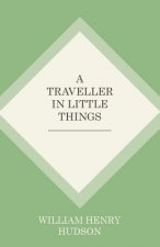 Traveller in Little Things