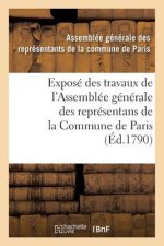 Expose Des Travaux de l'Assemblee Generale Des Representans de la Commune de Paris:
