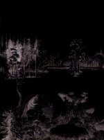 La grande foret/Le pays des Chintiens